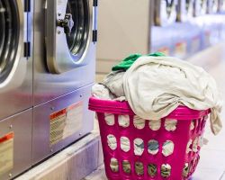 Guide To Laundromat Business in United States